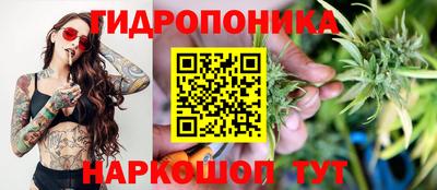 COCAINE Новодвинск