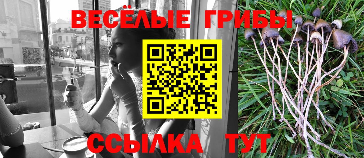 Галлюциногенные грибы прущие грибы  Вход с VPN  Туапсе 